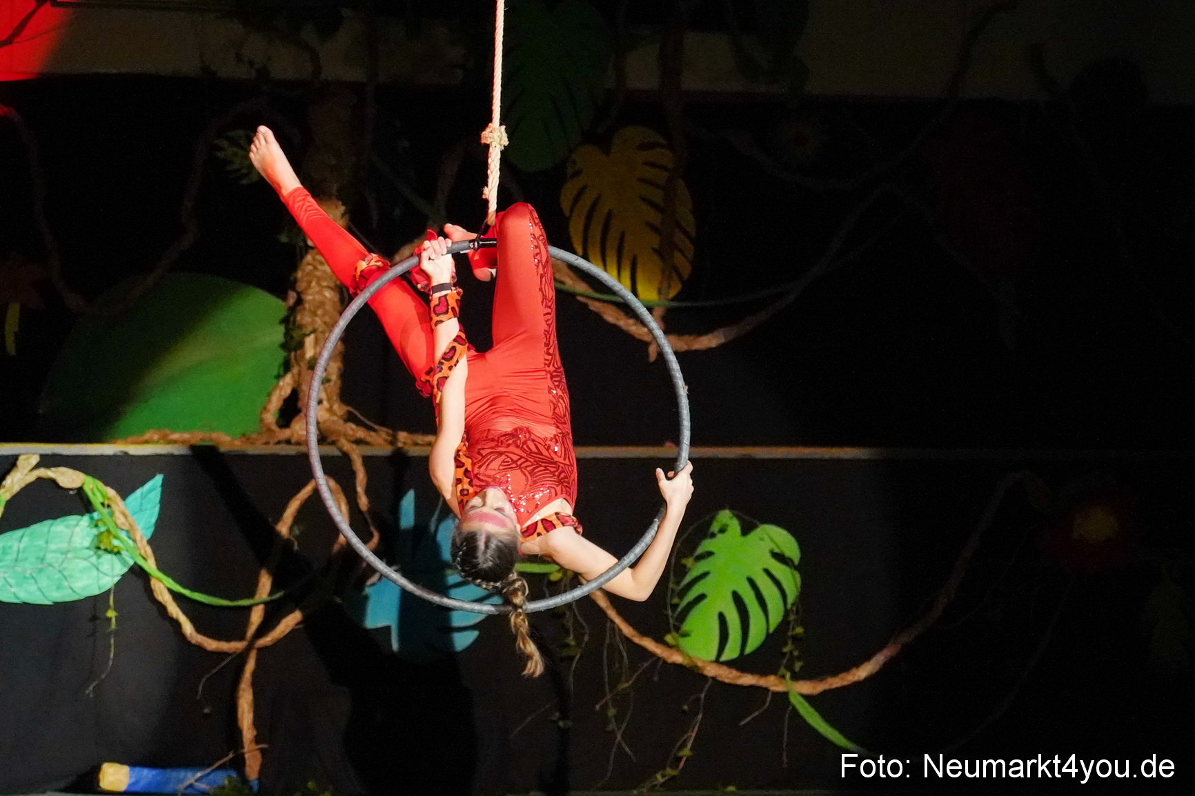 Artico Artistical Dschungelbuch 2020 0085